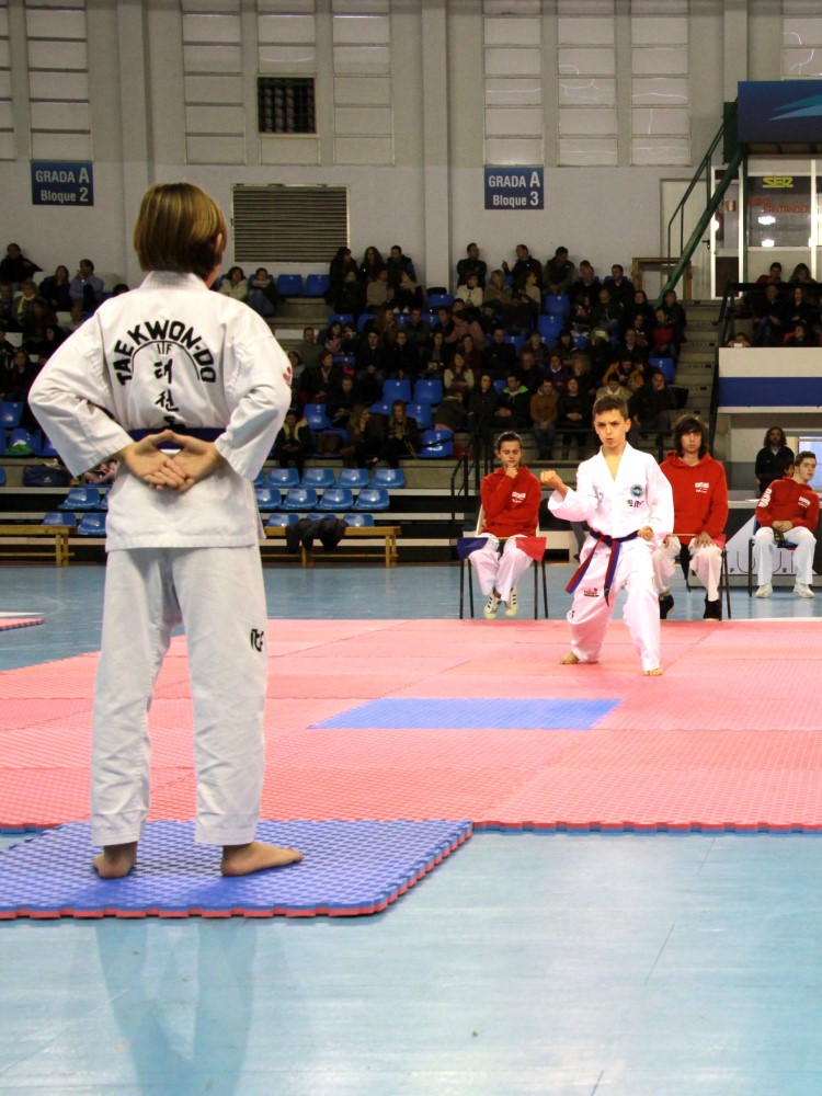 Taekwondo Dic 2016 (219).jpg